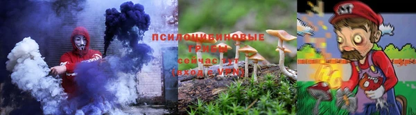 ПСИЛОЦИБИНОВЫЕ ГРИБЫ Зерноград