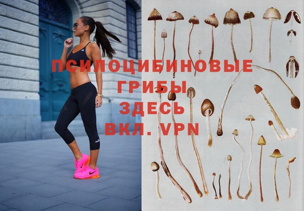 меф Зеленокумск
