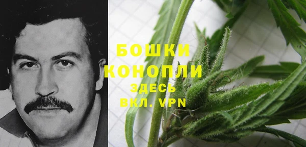 ПСИЛОЦИБИНОВЫЕ ГРИБЫ Зерноград